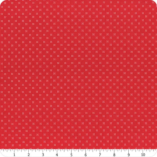 Riley Blake | Radiant Ruby Schoolhouse Dots